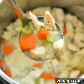 A ladle scoops a hearty serving of chicken soup with carrots and celery from an Instant Pot, reminiscent of a classic chicken and dumplings recipe.