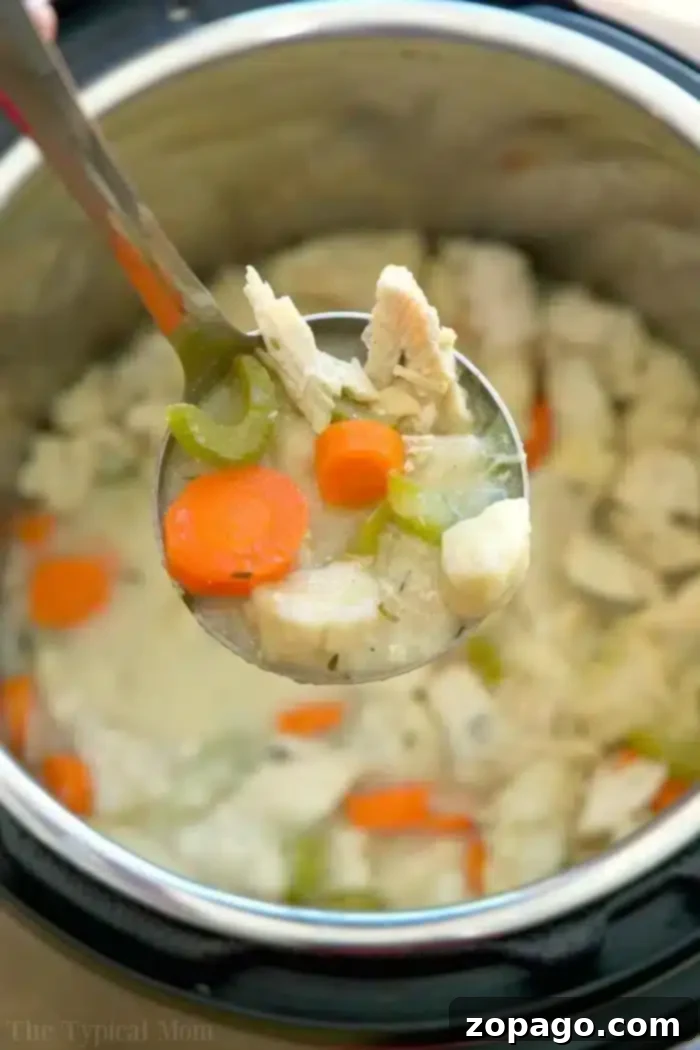 Easy Instant Pot Chicken and Dumplings 9 Instant Pot Chicken and Dumplings with Biscuits