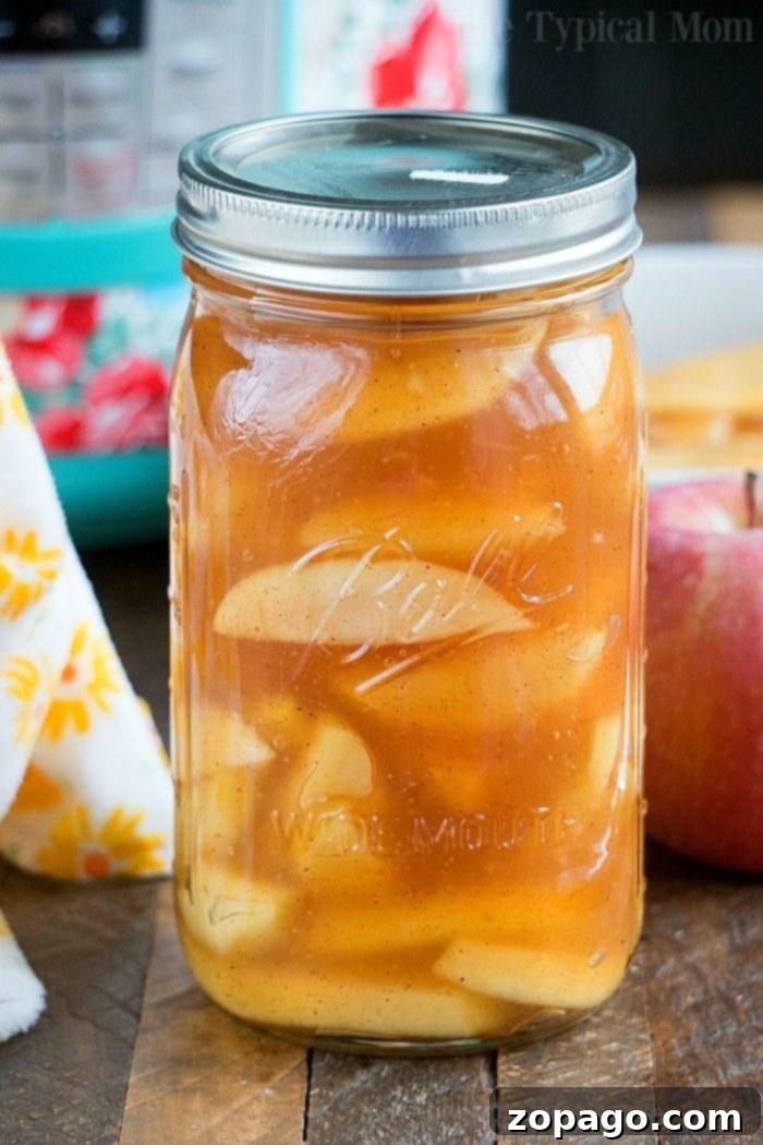 A bowl of homemade apple pie filling, featuring chunks of tender apples coated in a sweet, spiced sauce.