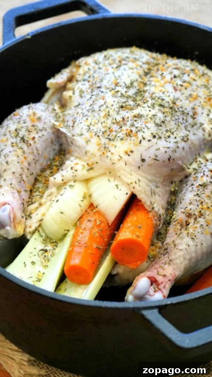 Prepped Whole Chicken in Dutch Oven for Roasting A raw whole chicken, generously seasoned with a blend of herbs and spices, positioned inside a Dutch oven, surrounded by large, chunky pieces of carrots and celery, ready for the oven.