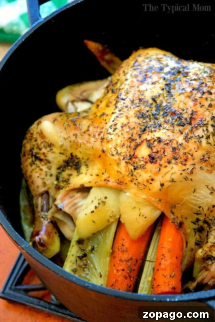 Whole Chicken with Roasted Potatoes and Vegetables in Dutch Oven A perfectly roasted whole chicken, nestled in a Dutch oven, surrounded by beautifully browned potatoes and other vegetables, ready for carving and serving.