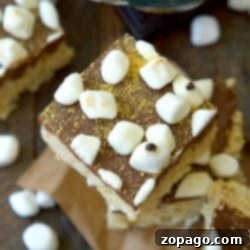 No-Bake S'mores Rice Krispie Bars 4 S'mores Rice Krispy Treats