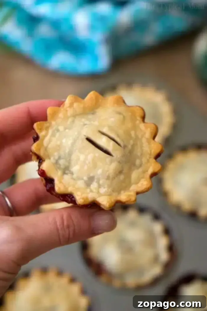 Mini mixed berry pies are cute, and delicious! Easy muffin tin hand pies that are packed with fresh berries and simple ingredients for the perfect dessert. Mini Pies