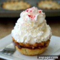 Mini pies crowned with a generous swirl of whipped cream and vibrant red sprinkles rest elegantly on a square white plate, accompanied by a sleek fork.