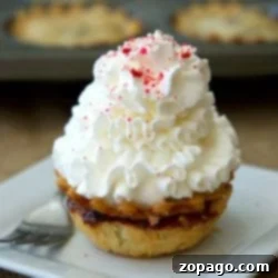 Mini pies crowned with a generous swirl of whipped cream and vibrant red sprinkles rest elegantly on a square white plate, accompanied by a sleek fork.