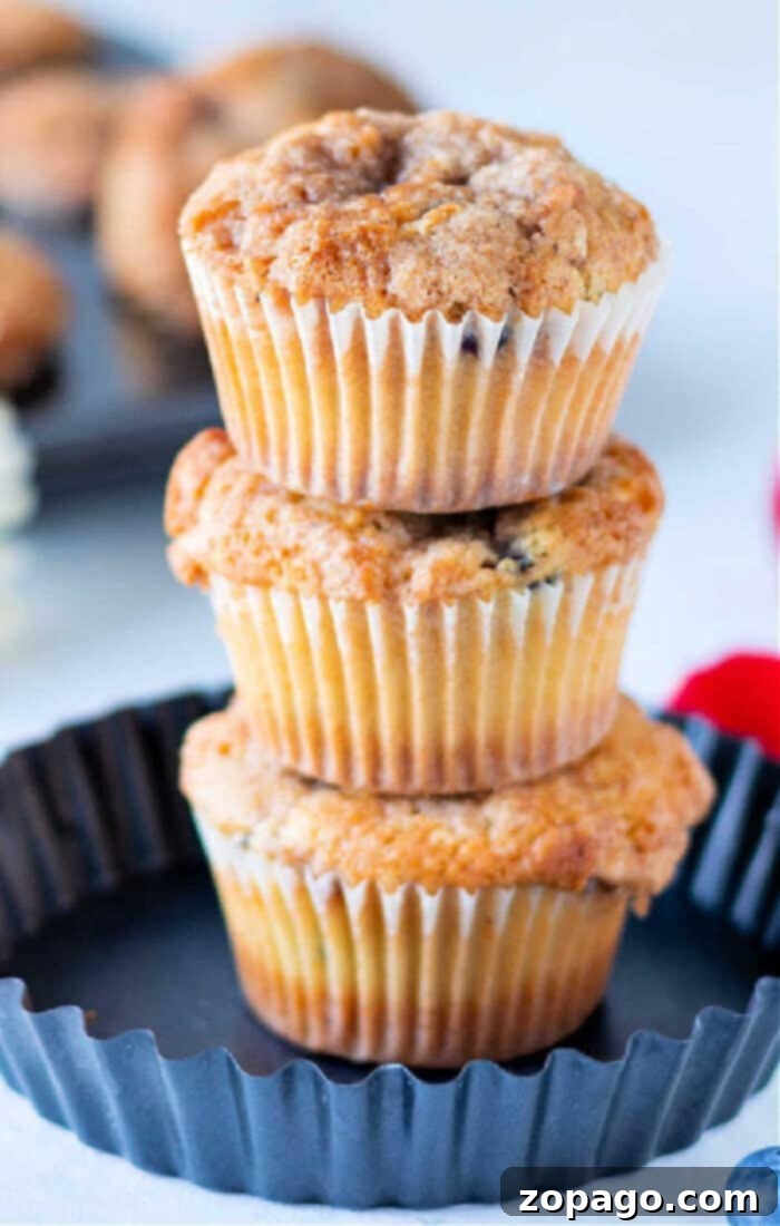 Moist Sour Cream Blueberry Banana Muffins 2 Delicious and easy sour cream blueberry banana muffins, perfect for breakfast or brunch.