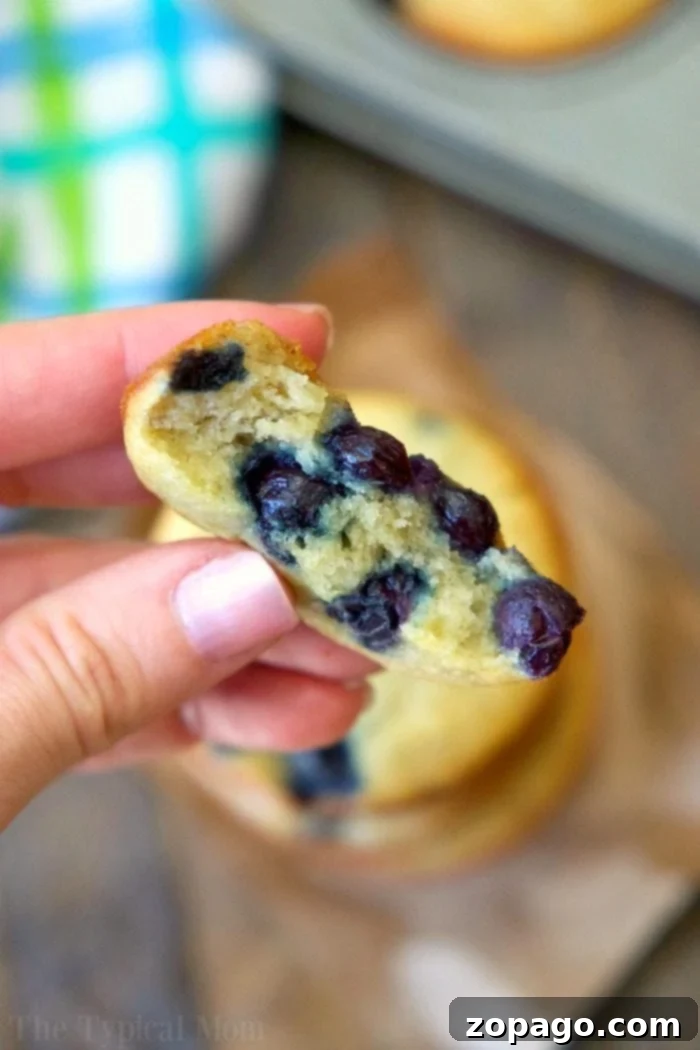 Moist Sour Cream Blueberry Banana Muffins 5 Two easy blueberry banana muffins with sour cream, showcasing their moist texture and golden tops.