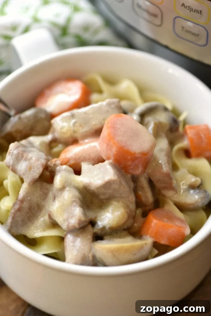 Quick and creamy Instant Pot Beef Stroganoff for a family-favorite meal Easy Instant Pot beef stroganoff recipe with creamy sauce