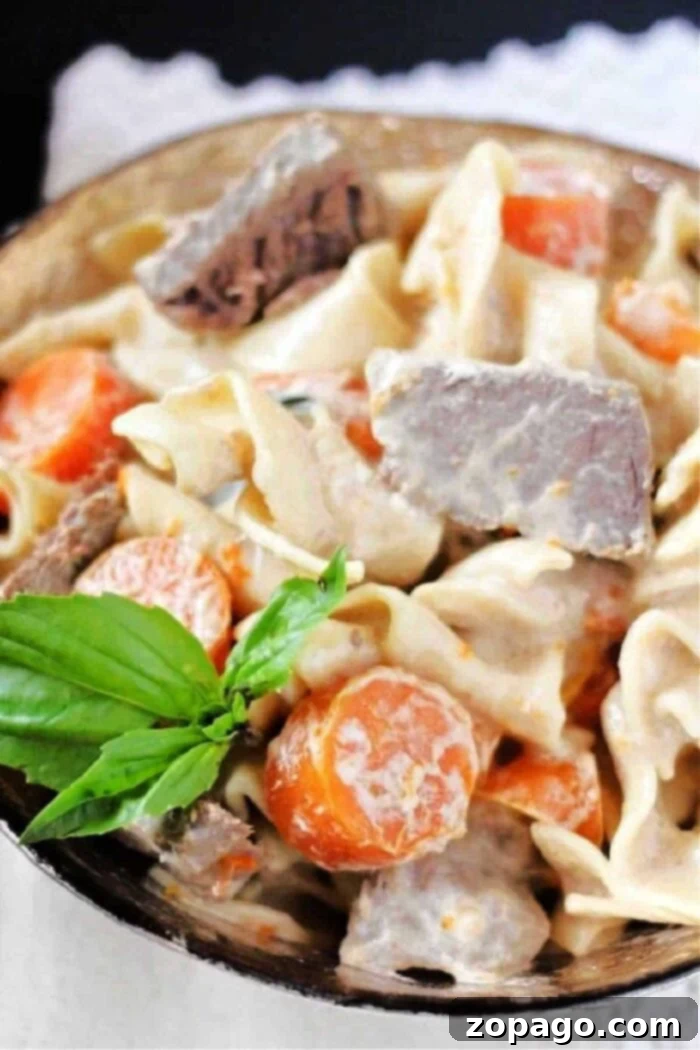 Instant Pot Beef Stroganoff with Tender Beef 5 Ninja Foodi beef stroganoff with stew meat
