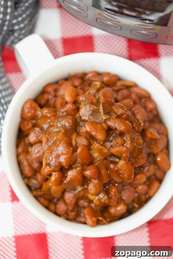 Best Instant Pot baked beans! Perfectly cooked in your pressure cooker with no pre-soaking required. They're a great sweet and savory side dish for any barbecue and you can add a bit of heat to them too if you want. #instantpotrecipes #bakedbeans #thetypicalmom #beans #nosoak #no #soaking #best #easy #homemade #bacon Delicious no-soak Instant Pot baked beans in a bowl, ready to serve.