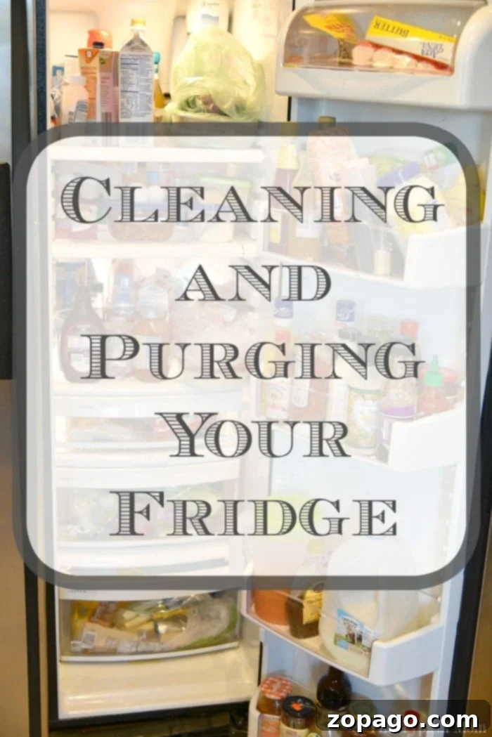 Cleaning and purging your refrigerator! #cleaning #checklist #printables Detailed Refrigerator Cleaning Checklist for a fresh and hygienic kitchen