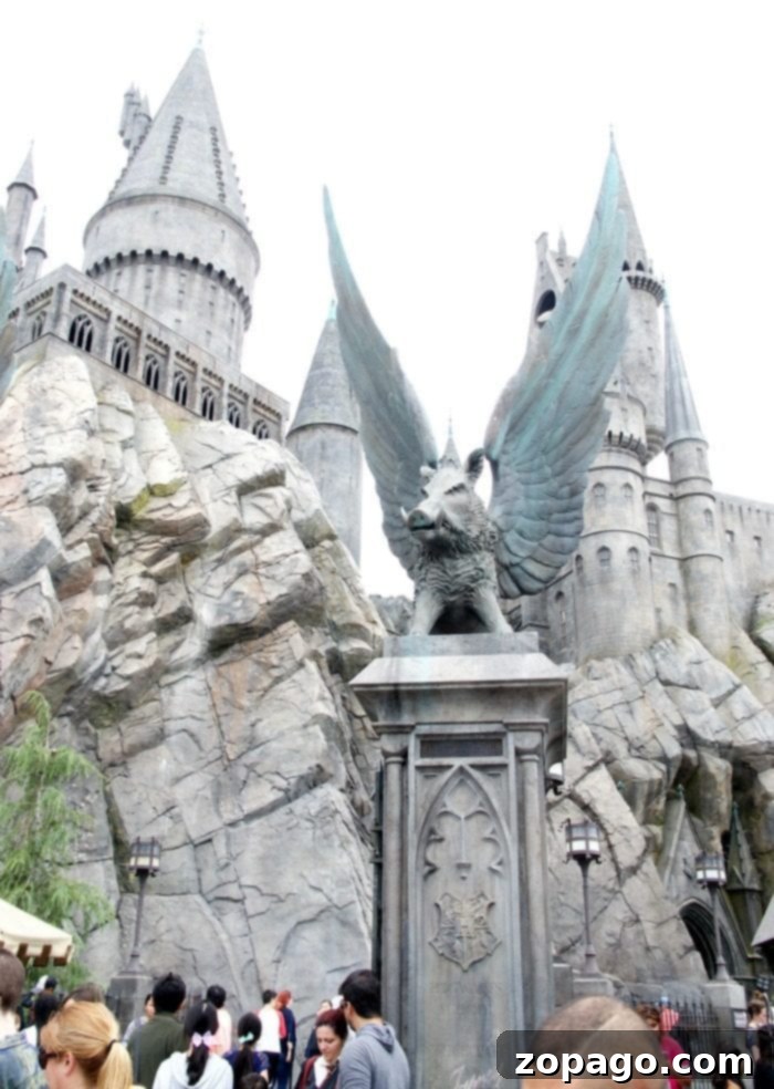 Experience interactive magic with wands at Harry Potter World Universal Studios Hollywood! Interactive wands for sale in Ollivanders shop at Wizarding World of Harry Potter