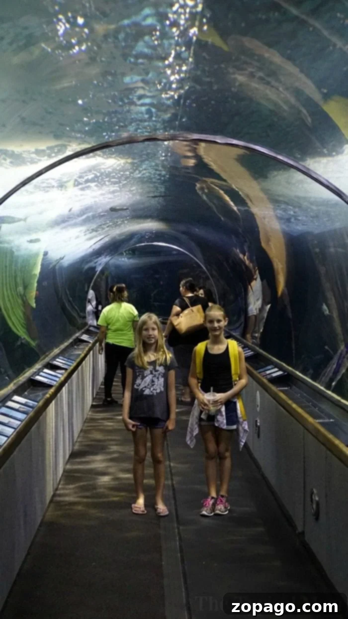 Family walking through an underwater tunnel at Aquarium of the Bay Family walking through an underwater tunnel at Aquarium of the Bay