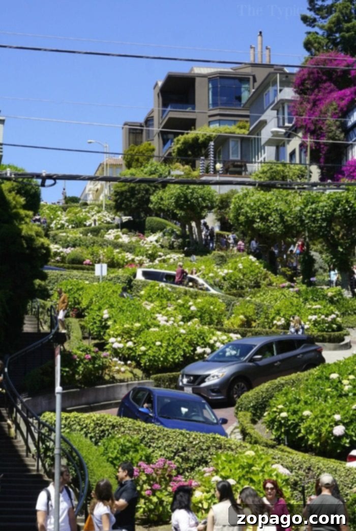 Lombard Street, the crookedest street in San Francisco, with cars navigating its turns Lombard Street, the crookedest street in San Francisco, with cars navigating its turns
