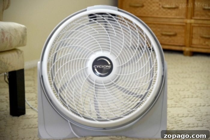 Smart Steps for a Cooler Home 2 how to save money on your energy bill
