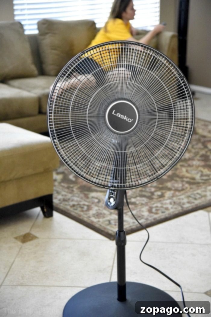 An effective Lasko fan providing essential air circulation during summer. lasko fan review