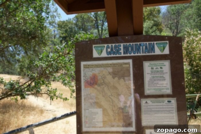 Budget-friendly lodging near Sequoia National Park with family