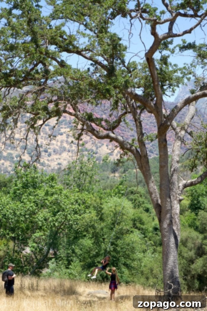 Case Mountain - Outdoor Adventures Near Sequoia National Park Lodging