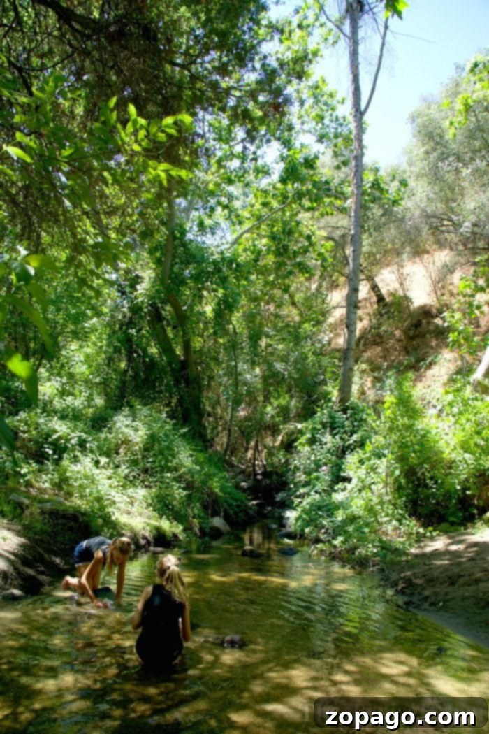 Family enjoying lodging and activities near Sequoia National Park