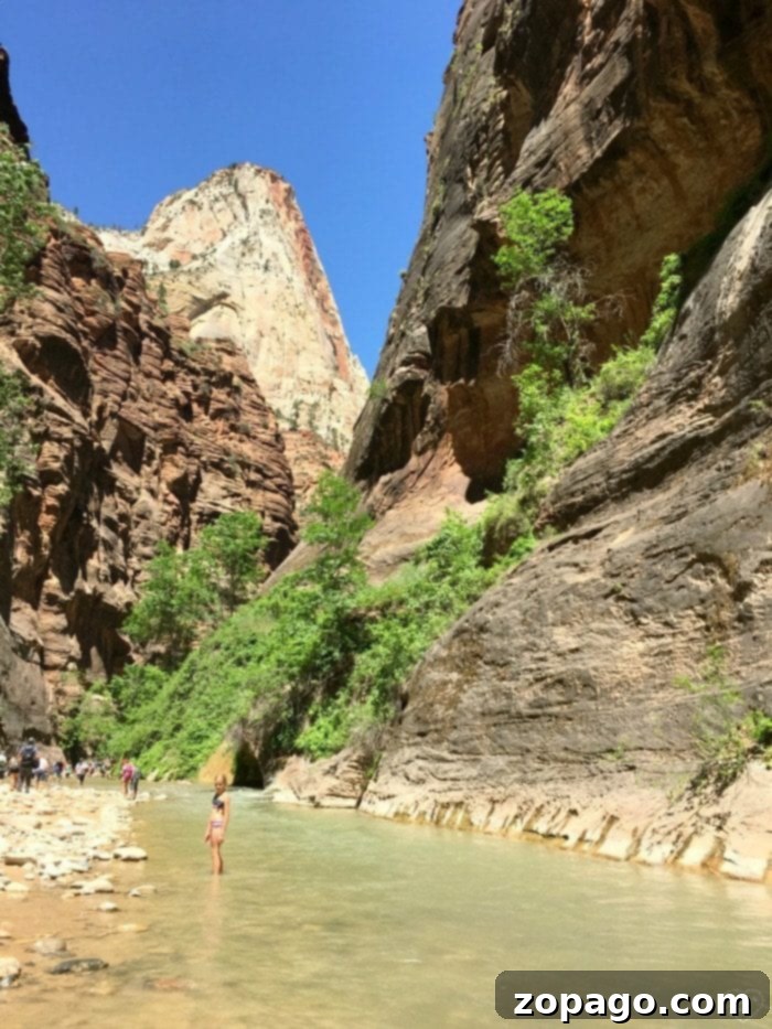 Family Adventures in Zion National Park, Utah Family hiking through a river in Zion National Park's Narrows