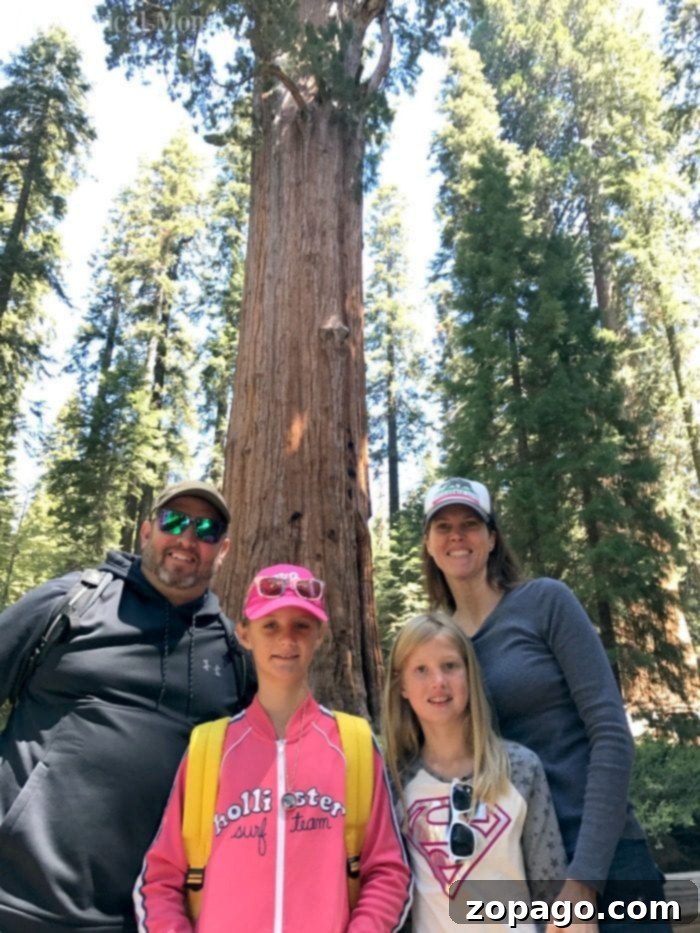 Discover diverse hiking trails and stunning natural beauty, making Sequoia National Park a perfect family destination. Family enjoying the majestic sequoia trees on a hiking trail