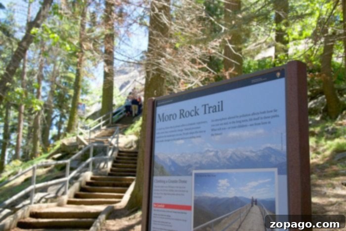 Sequoia National Park: Giant Trees and Unforgettable Views 3 What to see in Sequoia National Park: View from Moro Rock Trail
