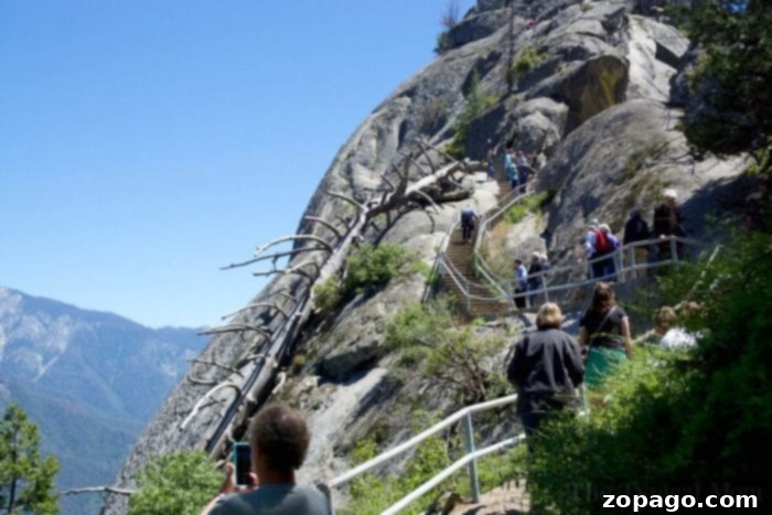Sequoia National Park: Giant Trees and Unforgettable Views 4 What to see in Sequoia National Park: Panoramic view from Moro Rock summit