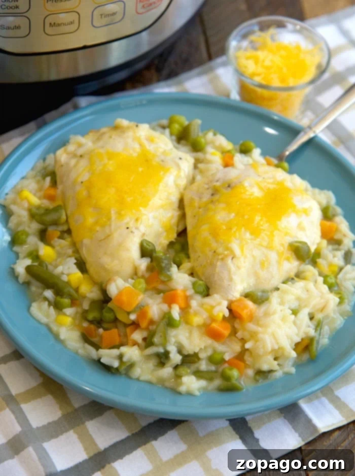 Instant Pot chicken and rice. #instantpot #chickenandrice pressure cooker chicken and rice