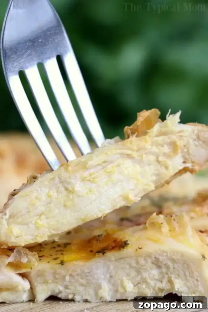 Best Instant Pot chicken! #instantpotchicken #instantpot #chicken Popular Instant Pot Chicken Recipes