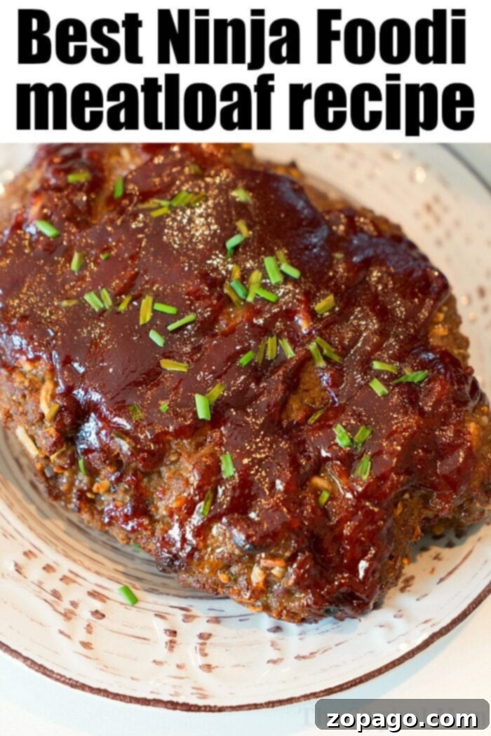 Sweet Onions Embracing Savory Meatloaf 5 Ninja Foodi meatloaf recipe adapted for stuffing into onions.