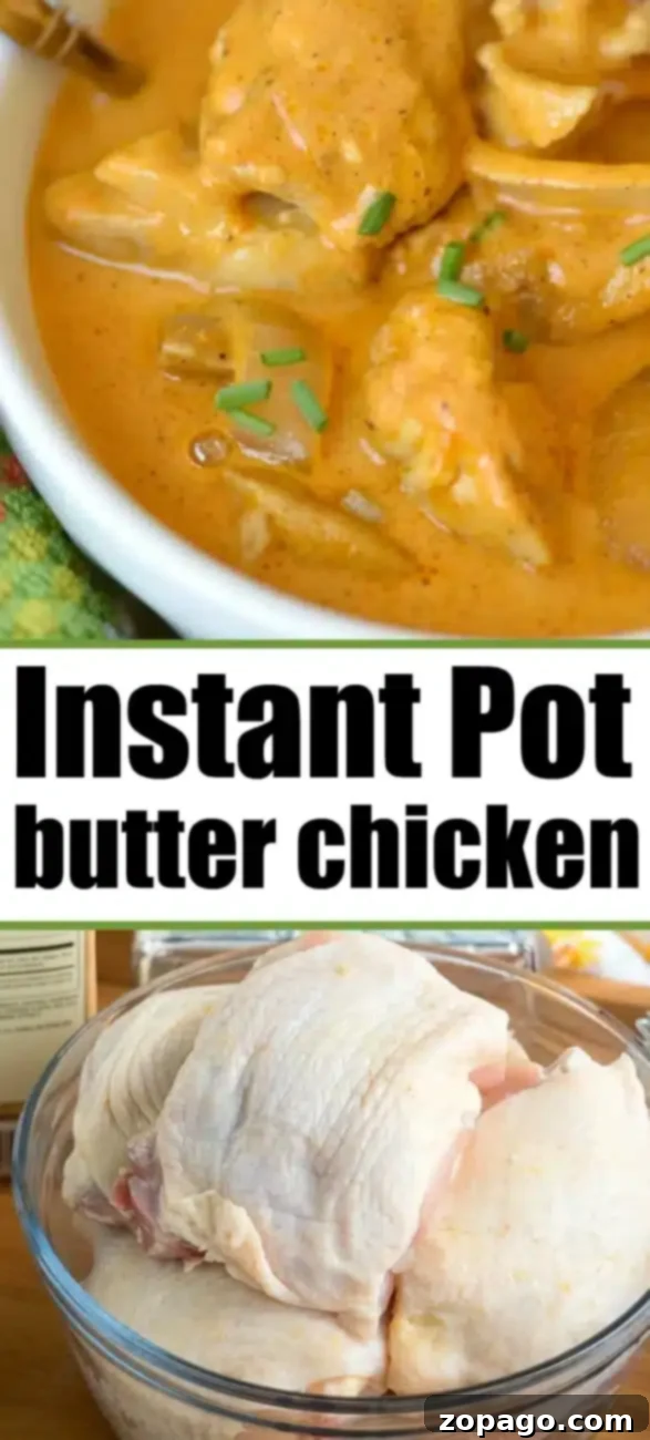 Easy Ninja Foodi Butter Chicken Recipe for a Quick Dinner A delicious serving of Ninja Foodi butter chicken, showcasing the creamy sauce and tender chicken, ready for a family meal.