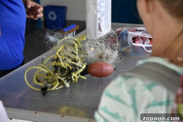 Exclusive VIP Sea World Behind-the-Scenes Tour Review 5 sea world behind the scenes tour - rehabilitation center
