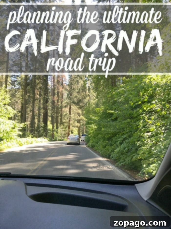 The ultimate California coast road trip for families! Discover where to stay and what to see. Family enjoying a California road trip
