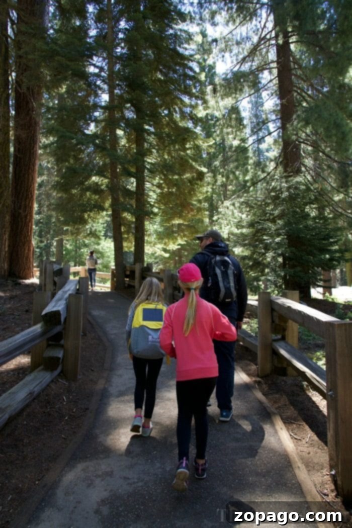The ultimate California coast road trip, including inland National Parks like Sequoia or Yosemite. Sequoia National Park's giant trees, California