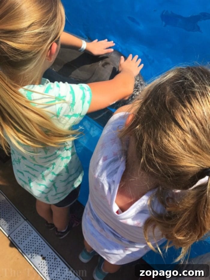 The ultimate California coast road trip for families, featuring beautiful beaches and SeaWorld. Family at a California beach