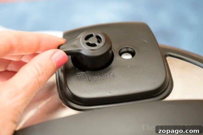 How to use an Instant Pot instructions are here + I have some easy Instant Pot recipes for you to try! #instantpot #pressurecooker #beginners #buttons #instructions #instantpotrecipes #thetypicalmom #instantpotinstructions how to use an instant pot 3