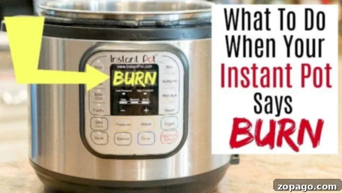 Getting Started with Your Instant Pot 4 burn on instant pot 2