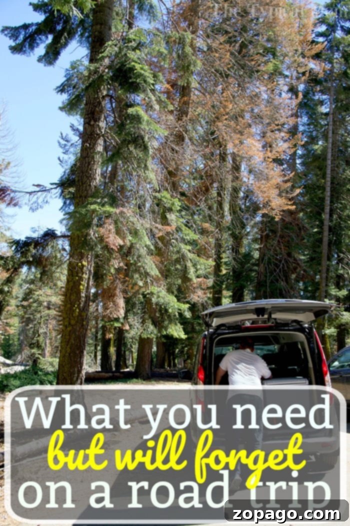 things to pack for a road trip - car packed with luggage