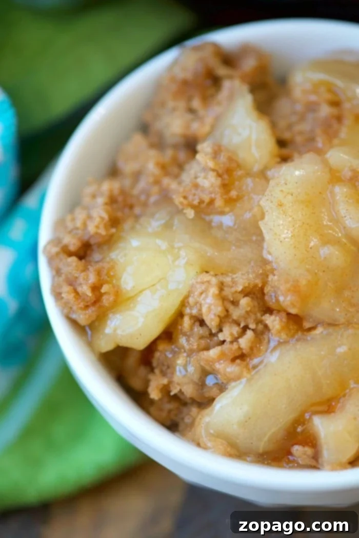 Easy Instant Pot Dump Cake 3 A second image of a delicious apple Instant Pot dump cake, ready to be served with a dollop of ice cream.