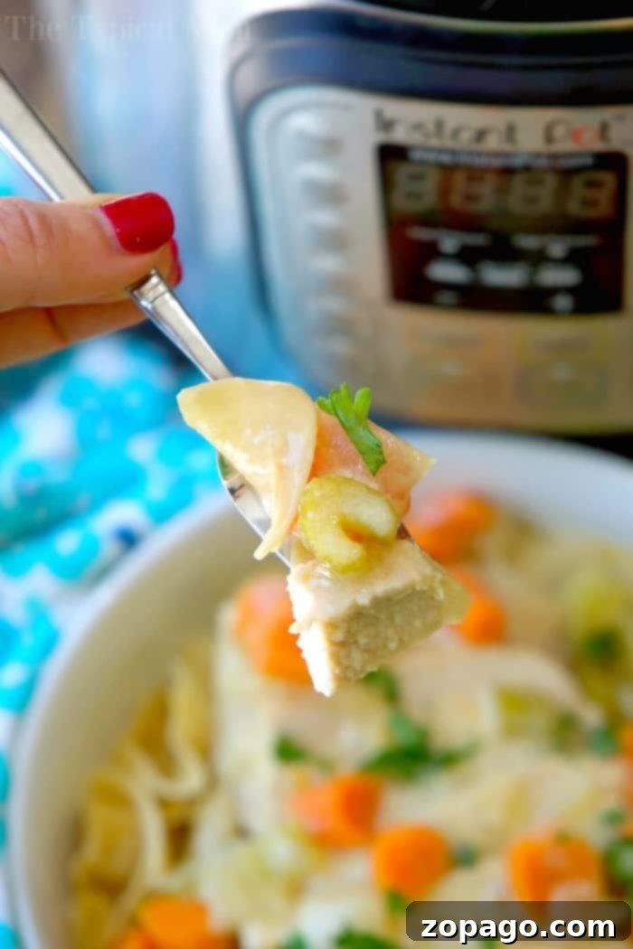 This Instant Pot pork stroganoff recipe is delicious! Filled with moist pork tenderloin and veggies with a warm creamy sauce on top, you're sure to love it! A fork holds chicken, noodles, and carrots above a bowl, with an Instant Pot in the background—perfect for trying your favorite instant pot pork stroganoff recipe.
