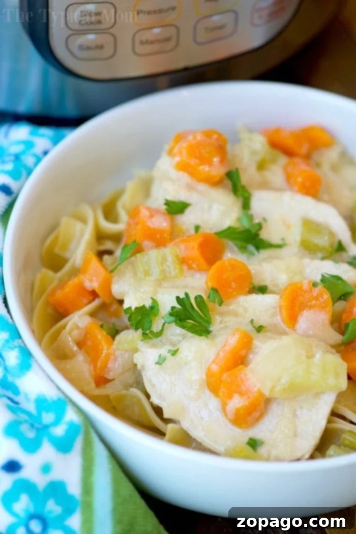 This Instant Pot pork stroganoff recipe is delicious! Filled with moist pork tenderloin and veggies with a warm creamy sauce on top, you're sure to love it! A bowl of creamy chicken stew with carrots and herbs, reminiscent of an Instant Pot pork stroganoff recipe, is placed invitingly in front of the cooker.
