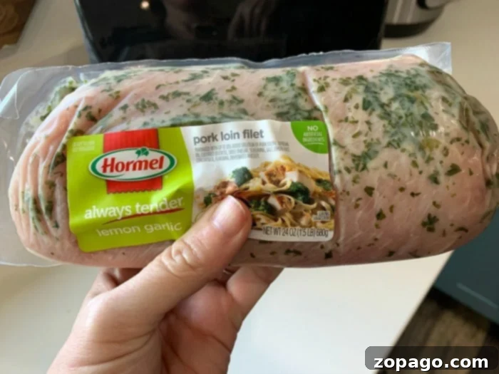 Pork Stroganoff 2 Person holding a packaged Hormel lemon garlic pork loin filet in a kitchen setting, imagining the delicious possibilities of cooking it to perfection in an air fryer.