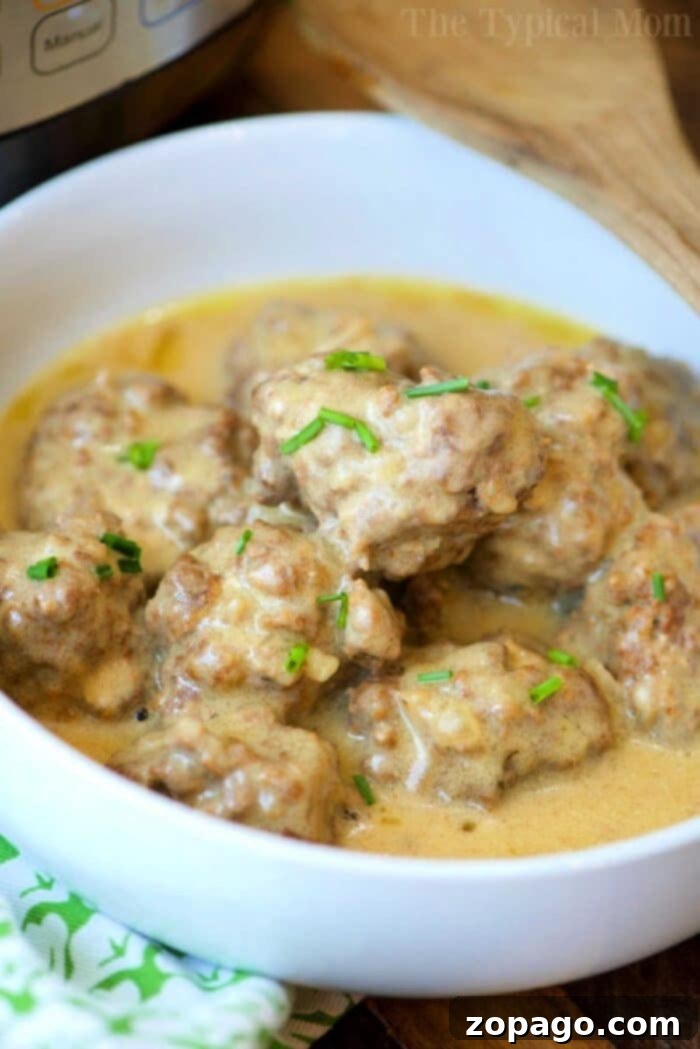 Effortless Instant Pot Swedish Meatballs 2 Delicious Instant Pot Swedish meatballs in a creamy sauce, garnished with fresh herbs, ready to be served.