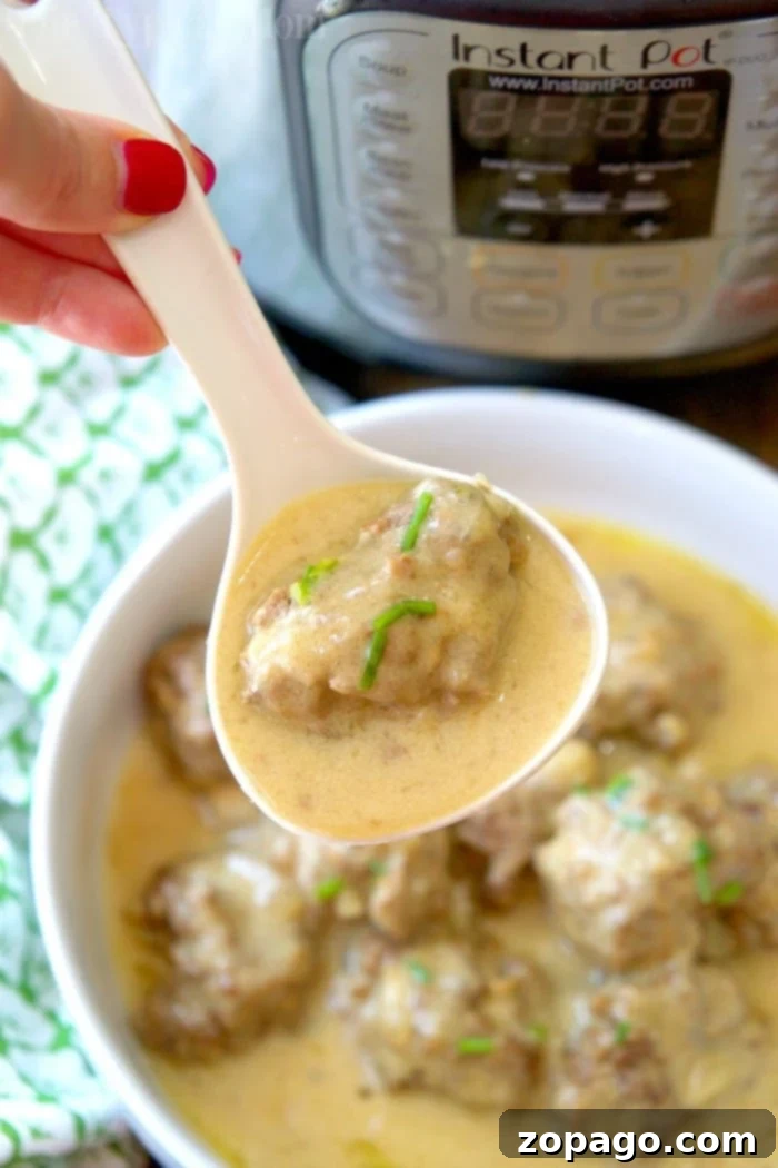 Effortless Instant Pot Swedish Meatballs 8 Hearty plate of Instant Pot Swedish meatballs with a generous amount of creamy sauce, perfect for a comforting family meal.