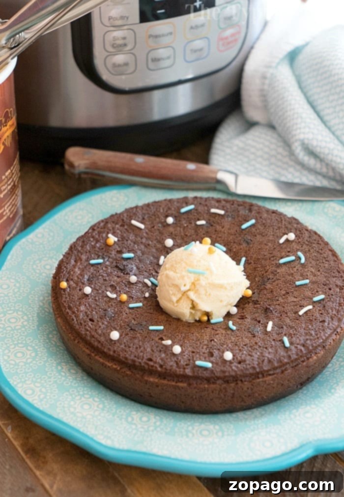 Instant Pot Dessert Delights 3 instant pot chocolate pudding cake