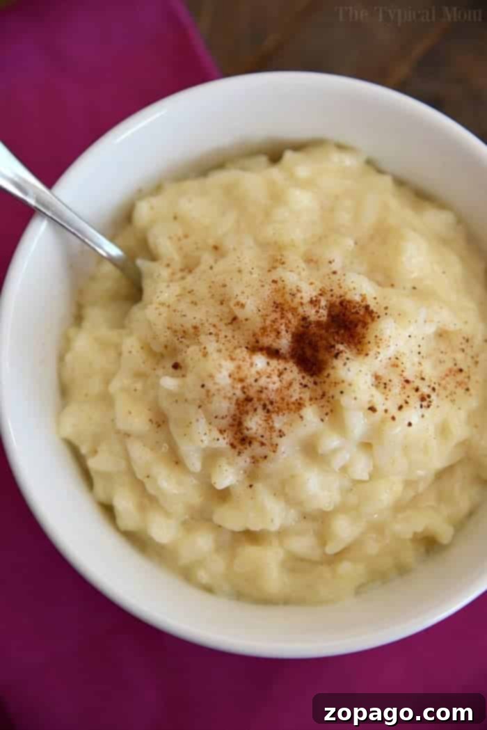 Instant Pot Dessert Delights 7 instant pot rice pudding