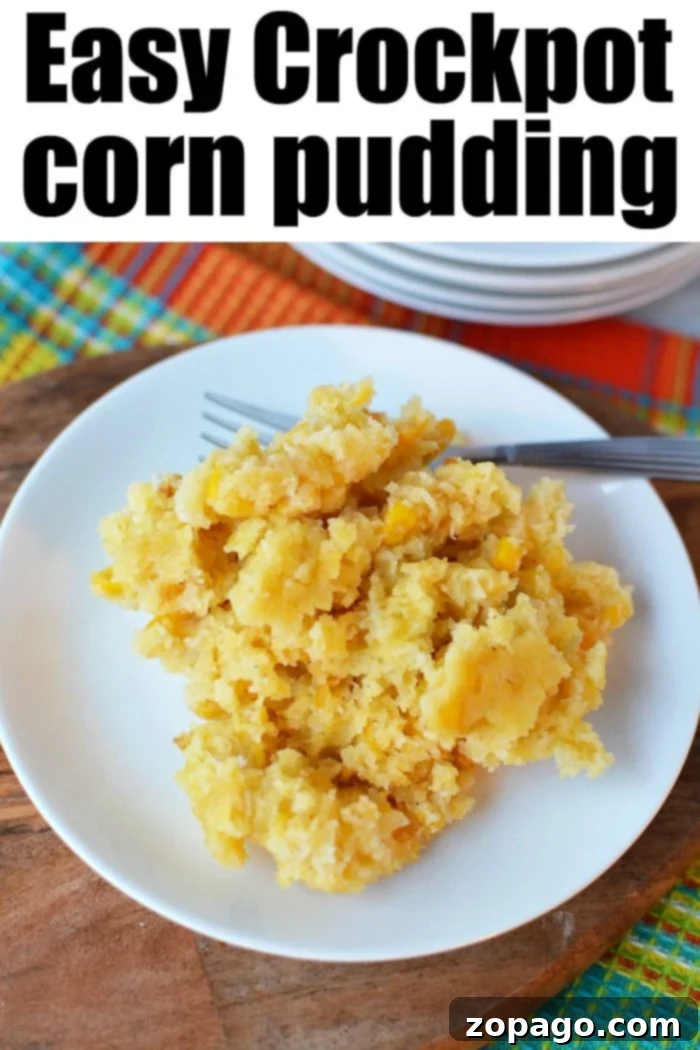 Set and Forget Corn Casserole 10 Close-up of fluffy crockpot corn pudding in a bowl, perfect for a cozy meal.