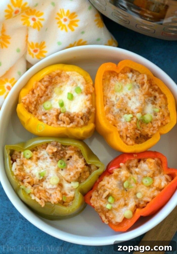Easy Instant Pot stuffed peppers will be your favorite pressure cooker meal! Green peppers stuffed with cheesy ground beef and rice they're packed with flavor and will bring you back to your childhood! #instantpot #pressurecooker #stuffedpeppers #crockpotexpress #instantpotrecipes #thetypicalmom Easy Instant Pot Stuffed Peppers with Cheesy Ground Beef and Rice