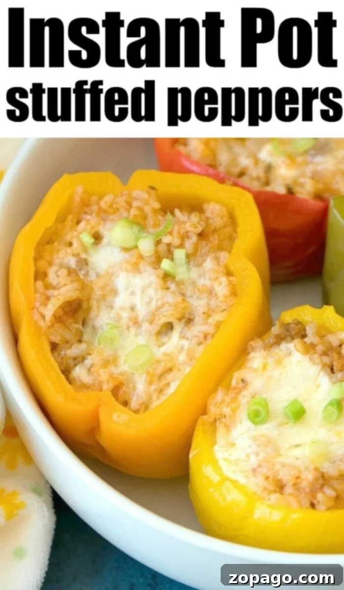 Classic Stuffed Peppers Made Simple with Instant Pot A close-up of a perfectly cooked Instant Pot stuffed pepper