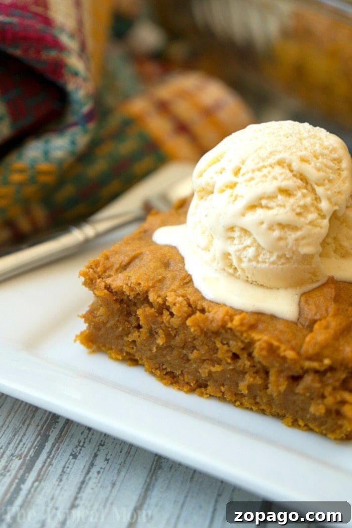This easy pumpkin pudding cake recipe tastes like pumpkin pie but way better! Just 6 ingredients to dump in and bake to moist perfection. Best Fall dessert! #pumpkin #cake #dump #pudding #sheet A perfectly sliced piece of moist pumpkin cake, made from an easy pumpkin pudding cake recipe, served on a white plate and adorned with a dollop of melting vanilla ice cream.